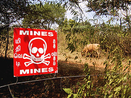 minas antipessoais.jpg